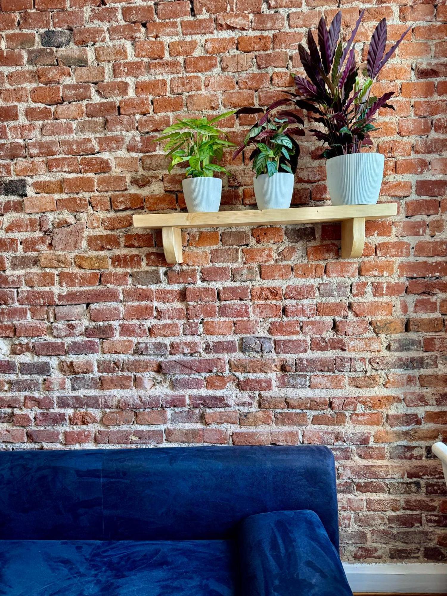 Bohemian Apartment In Center Of Kazimierz District Krakow Ngoại thất bức ảnh